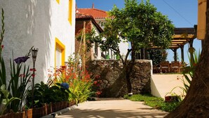 Un vialetto conduce a un edificio con una parete in pietra, circondato da varie piante e fiori.