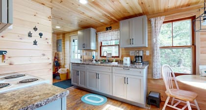 Waterfront, dog-friendly cabin on China Lake with dock, canoe & firepit