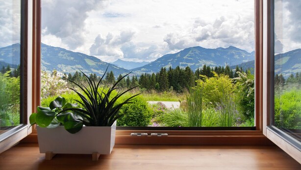 Una ventana con vistas a montañas y vegetación.