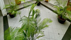 A multi-level atrium with potted plants, wooden doors, and blue railings.