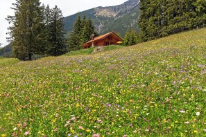 Property grounds - Chalet 'Chalet87' with Mountain View, Private Terrace, and Children from 8 Years Welcome. (Berwang)