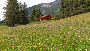 Uma cabana de madeira com telhado inclinado, cercada por um campo de flores silvestres e árvores altas, com montanhas ao fundo.
