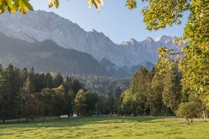 Un paisaje montañoso con un campo y árboles.