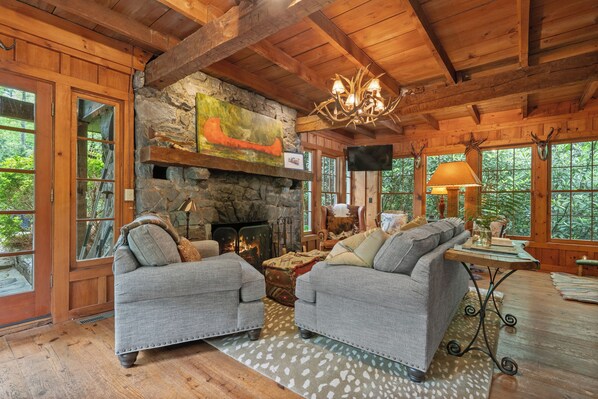 Smart TV, fireplace, books