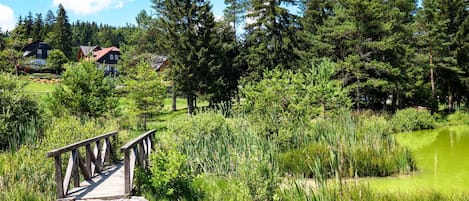 Parco della struttura