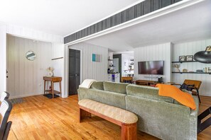 TV, fireplace, video games, books