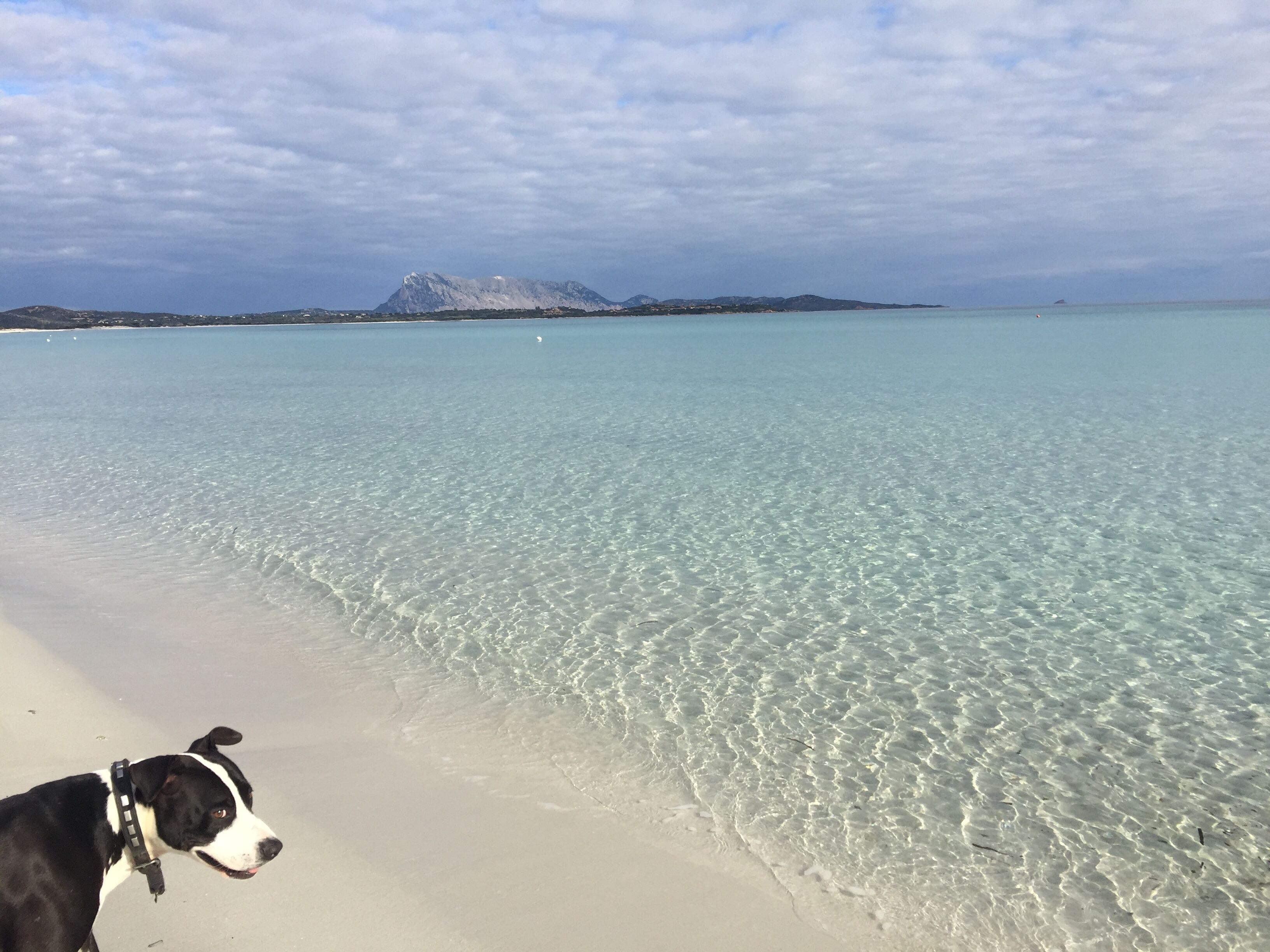 Una playa con agua cristalina y una montaña al fondo.