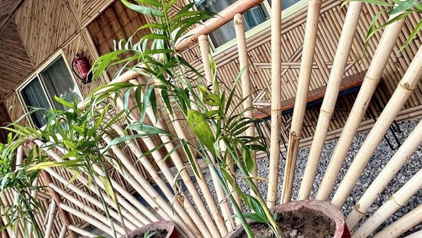A bamboo structure with potted plants.