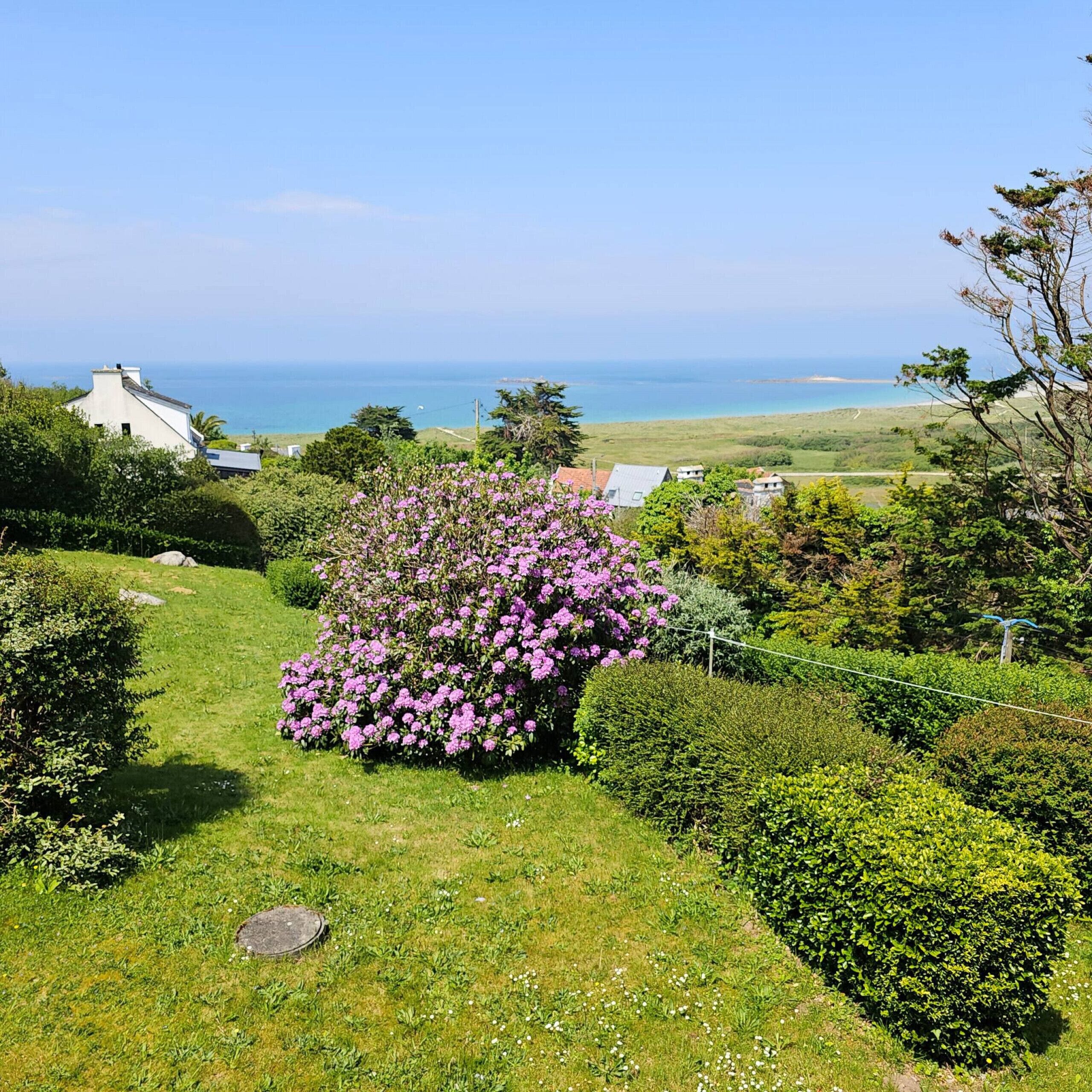 A lush garden with a prominent bush of purple flowers, a grassy lawn, and a view of the sea and distant buildings.