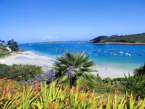 Un paysage côtier avec une plage, des bateaux et une végétation luxuriante.