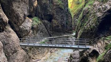 1 dormitorio y ropa de cama