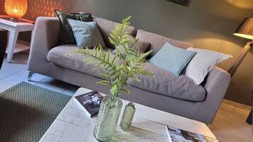 Een televisie, een dvd-speler, boeken en een muziekbibliotheek