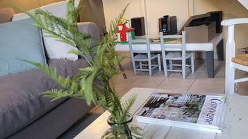 Een televisie, een dvd-speler, boeken en een muziekbibliotheek