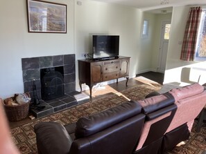 Una televisión, una chimenea