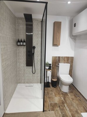 Shower, hair dryer, towels, soap - Mazet Entièrement Rénové Avec SPA Privatif au Pied des Cévennes (Bagard)