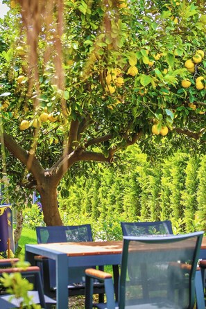 Exterior - Hotel Palm House  (Demre)