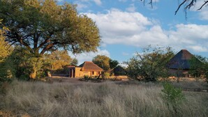 A rustic lodge with thatched-roof buildings, surrounded by tall grass and trees.