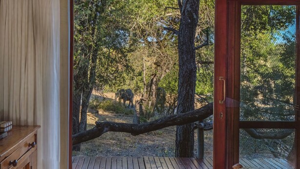 A wooden deck with a view of a forested area and a path.