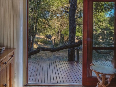 Motswari African Retreat & Walking Safaris by Newmark