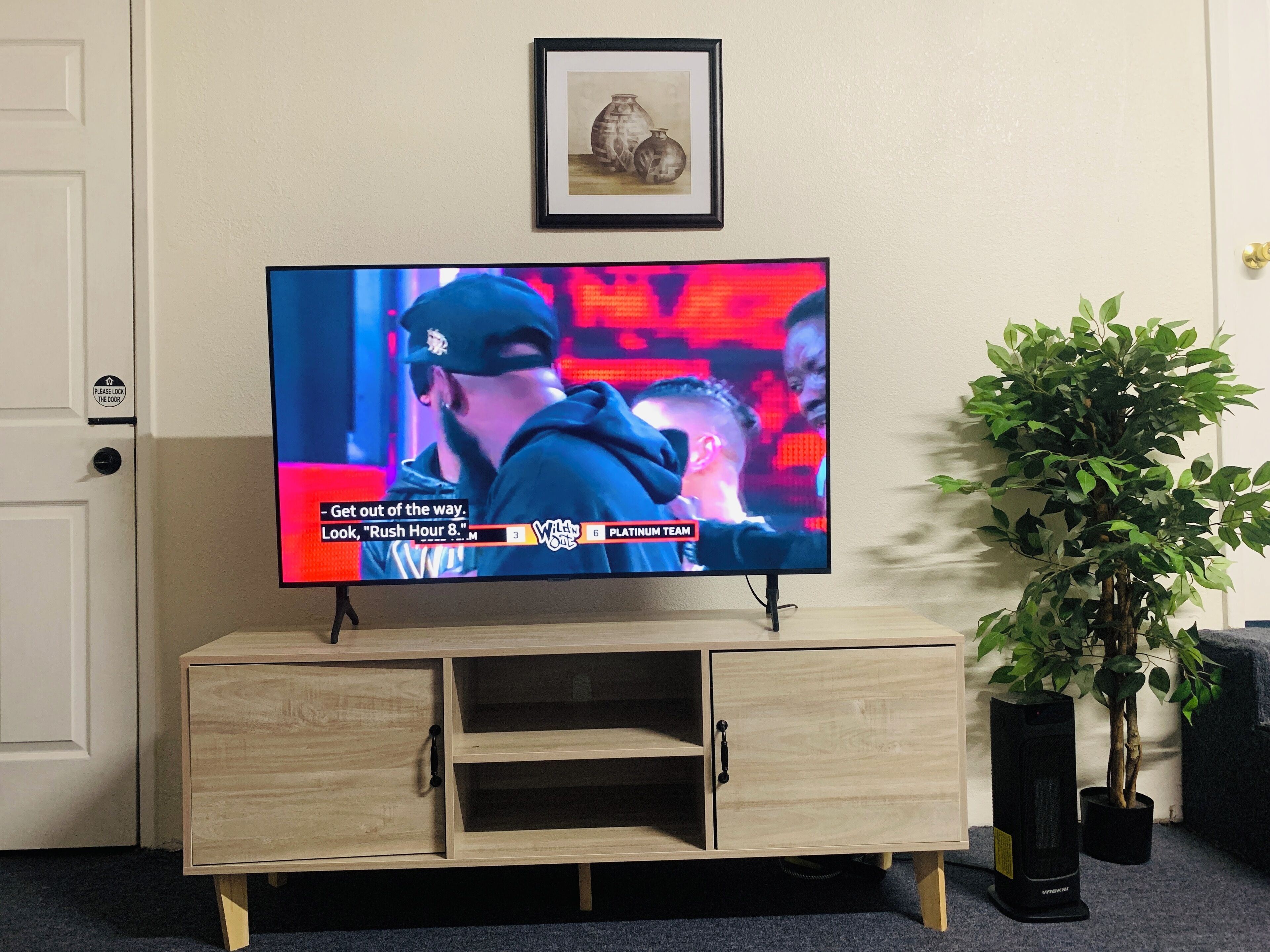 Ein Fernseher auf einem Holz-TV-Möbel, neben ihm eine Pflanze.
