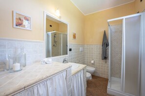 Features a large mirror above the sink, a separate toilet, and a walk-in shower with a glass door.