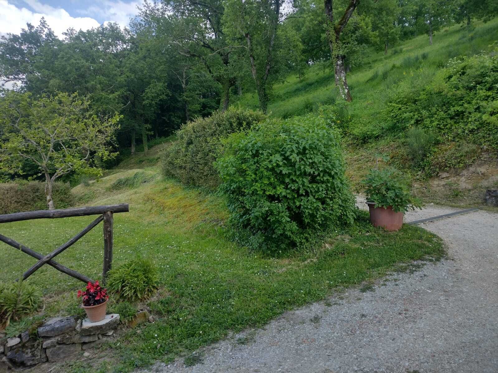 A gravel path leading through a lush green area with a wooden fence and potted plants.