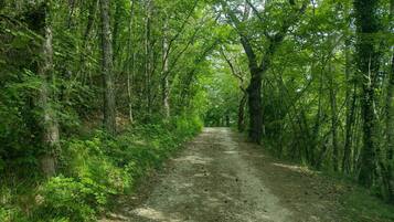 Appartamento, 1 camera da letto, fumatori, patio | Varie