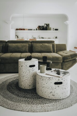 Smart TV, fireplace, books, stereo