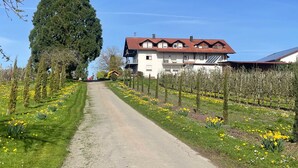 Une route de campagne mène à un immeuble à plusieurs étages, surmonté d’un toit recouvert de tuiles rouges, et entouré d’un jardin où poussent des fleurs jaunes et de grands arbres.