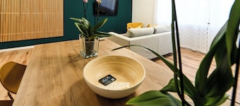 HOSTia big apartment