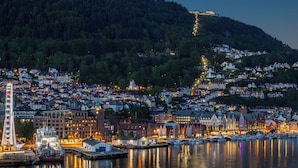 Eine Stadtansicht am Wasser mit einer markanten Brücke, dicht bebauten Wohngebäuden und einem Yachthafen mit Booten.