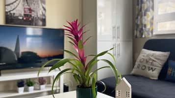 Smart TV