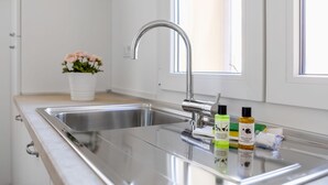 A kitchen with a stainless steel sink, a window, and a potted plant.