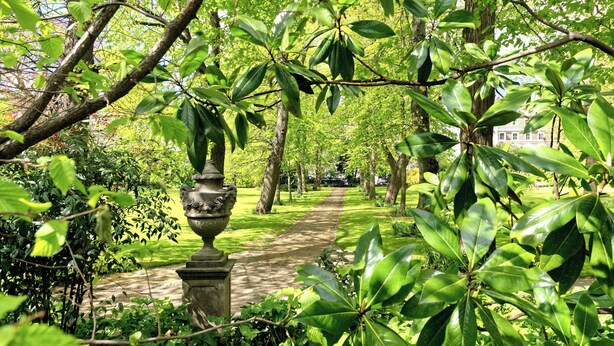 Een tuinpad omringd door weelderige groene bomen en beplanting.