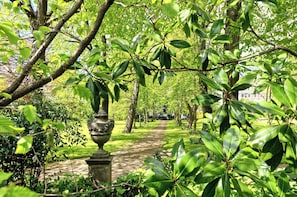 Caminho no jardim cercado por árvores e folhagem verdejantes.
