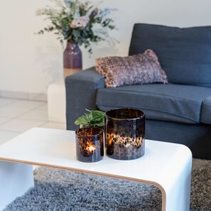 公寓 | 1 多间卧室、高速上网