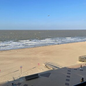 Apartment | Beach/ocean view - Beautiful Spacious Studio With Frontal sea View (Knokke-Heist)