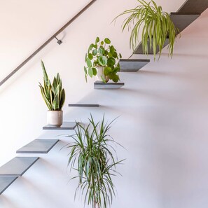 3 bedrooms, Internet - Beautiful High Quality Duplex Apartment (De Haan)