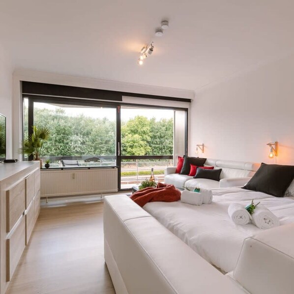 Studio | Internet - Modern Studio With Balcony Near the Beach (Blankenberge)