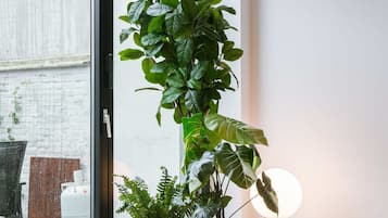 Huis | 3 slaapkamers, snel internet