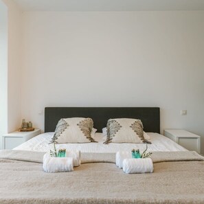 公寓 | 2 多间卧室、高速上网