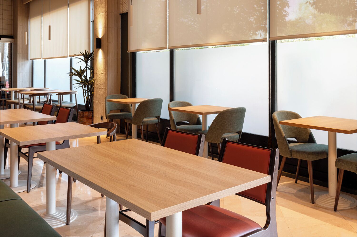 Un intérieur de restaurant moderne avec des tables et des chaises en bois, de grandes fenêtres et une plante.
