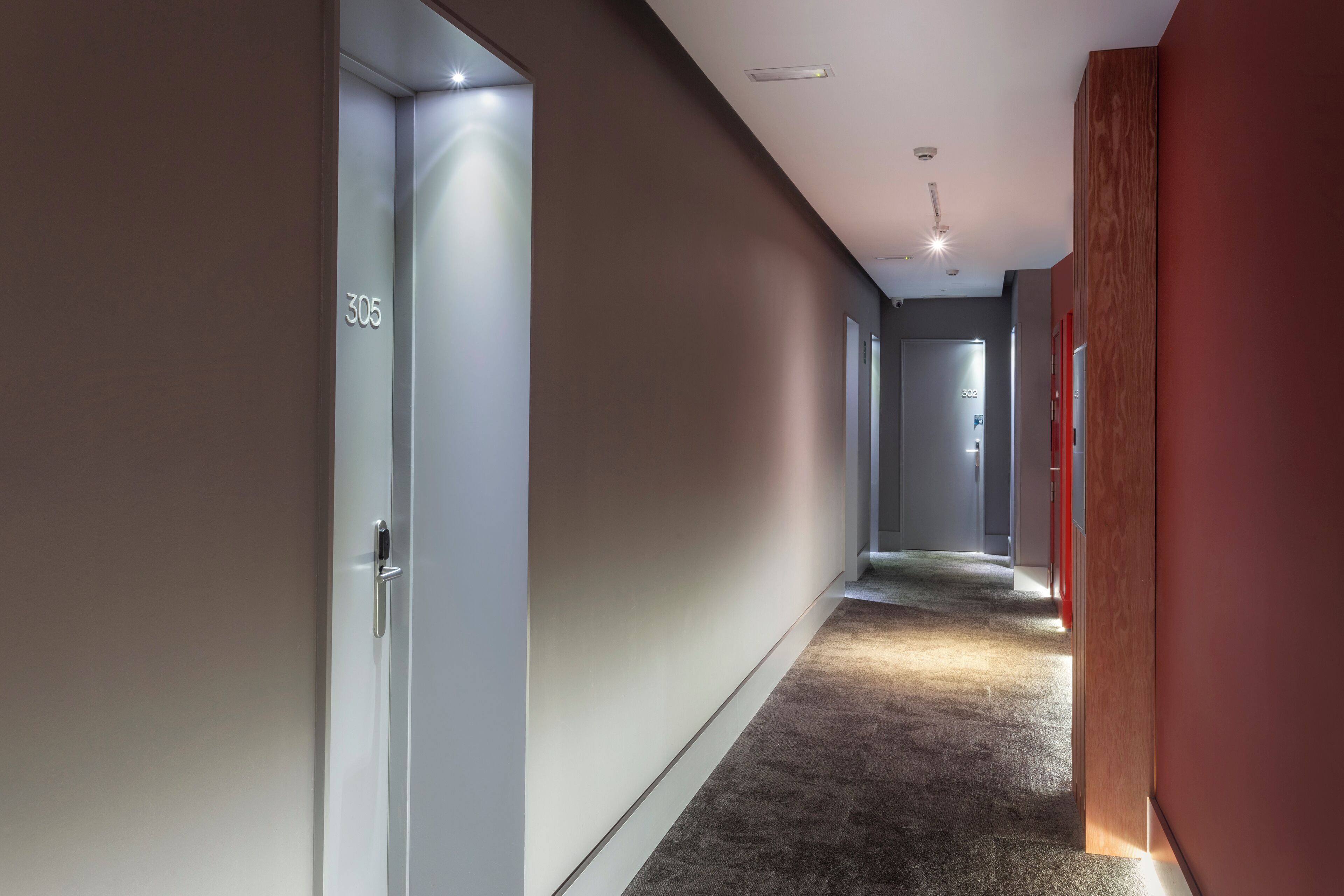 Un pasillo moderno con suelo alfombrado, un revestimiento de pared de madera y puertas numeradas 305 y 302.