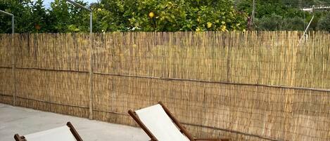 Apartment, barrierefrei