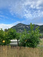 公寓, 无障碍 | 2 多间卧室、高速上网