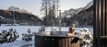 Luxury chalet for 4-8 people: 3 rooms; private spa: sauna, indoor pool & hottube