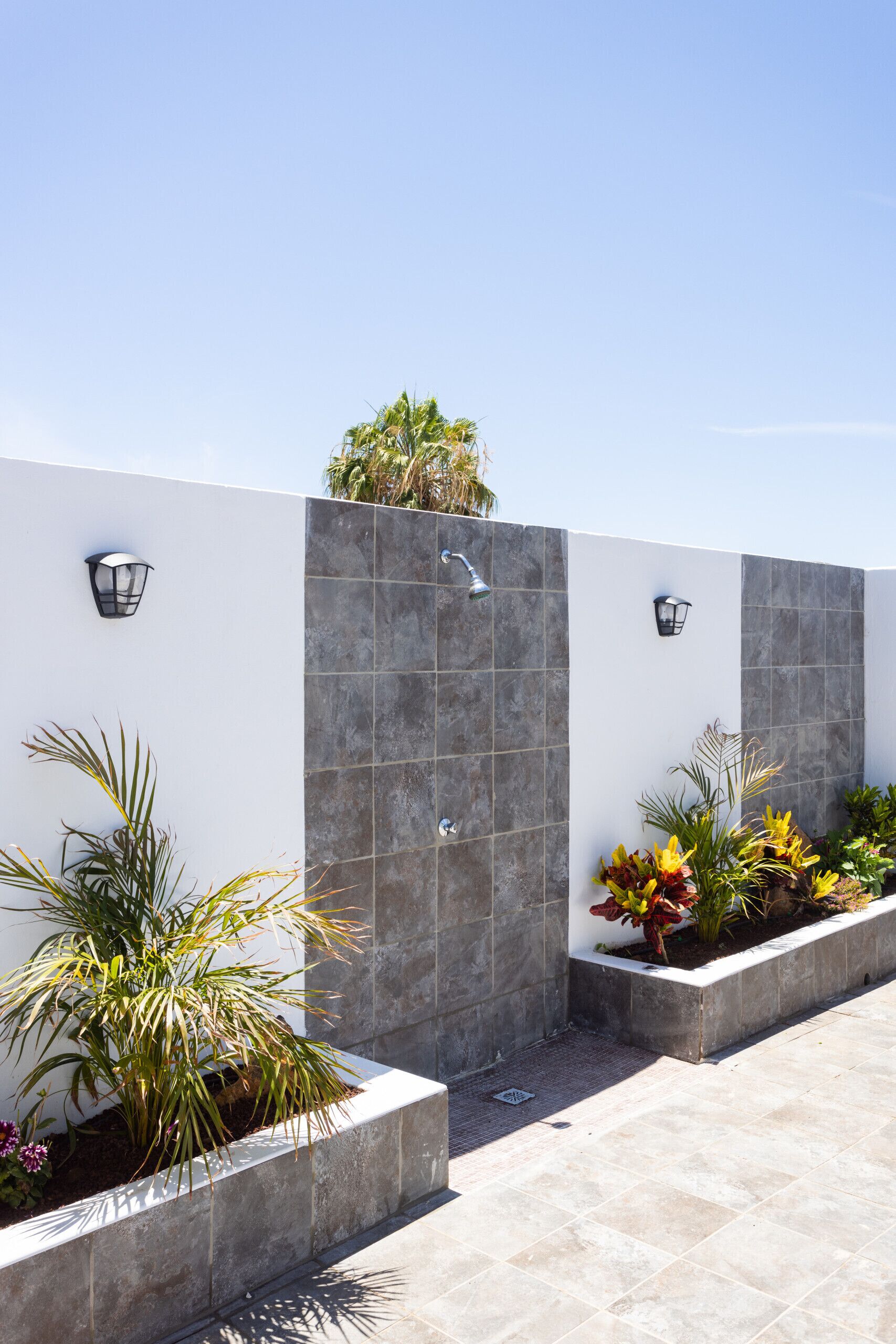 Un espacio exterior moderno con suelo de baldosas, pared gris con ducha y plantas en macetas.