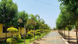 A residential street lined with trees and a yellow building. - Payal Palace (Maheshwar)