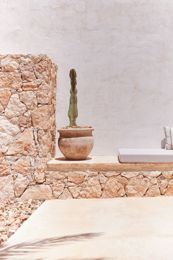Un mur de pierres, un cactus en pot et un banc blanc avec un coussin.