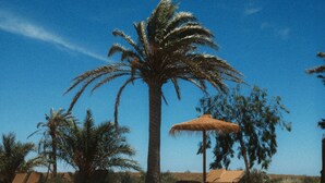Basseng
